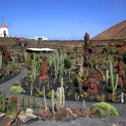 Lanzarote_4819_kj.jpg