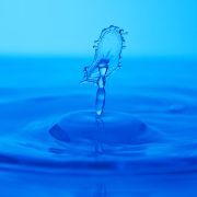 Drop_9860.jpg